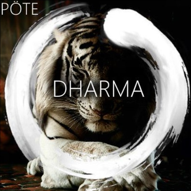 white tiger with an enso circle